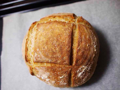 クレニオセラピー研究会＜2014/11/26＞