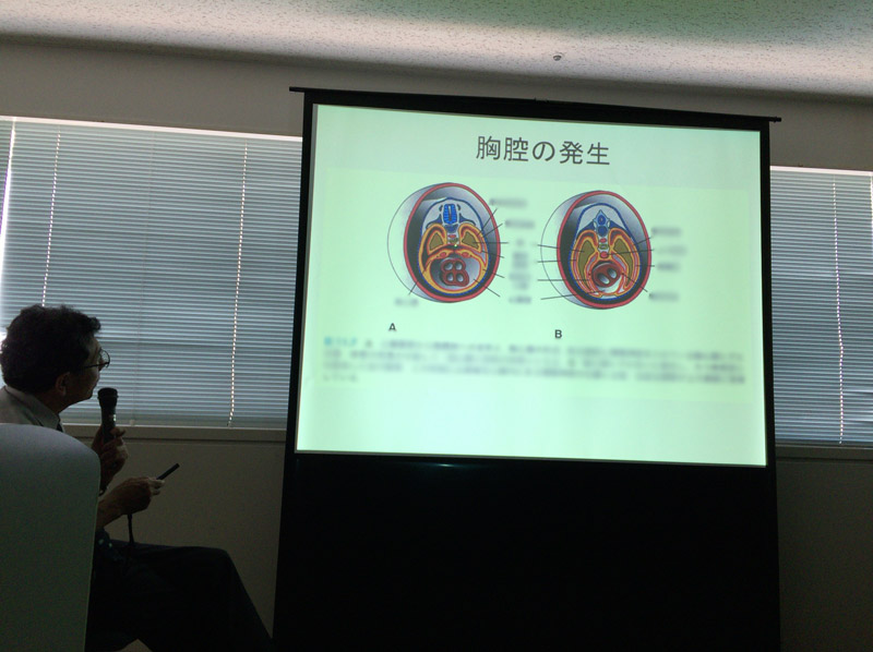 発生・形態学講座に行ってきました！＜泌尿・生殖器の構成・発生・進化、体腔の発生と進化＞